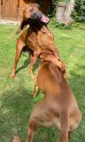 IMG-20210814-WA0040