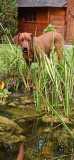 IMG-20210815-WA0007