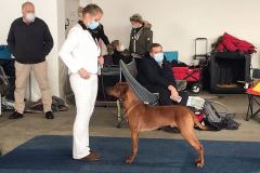 IMG-20211205-WA00050006