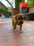 IMG-20220509-WA0011