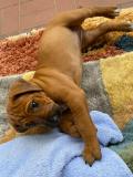 IMG-20220509-WA00131