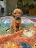 IMG-20220511-WA0000
