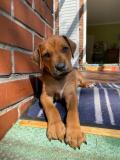 IMG-20220511-WA00091