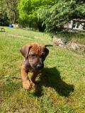 IMG-20220511-WA0019