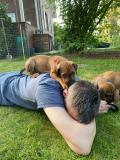 IMG-20220511-WA00331