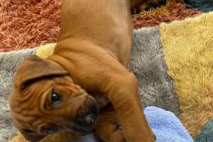 IMG-20220509-WA00131