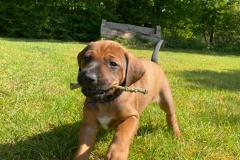 IMG-20220511-WA00151