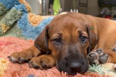 IMG-20220511-WA0023