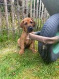 IMG-20220514-WA0021