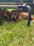 IMG-20220514-WA0022