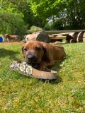 IMG-20220514-WA0023