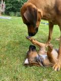 IMG-20220514-WA0033