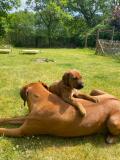 IMG-20220514-WA0035