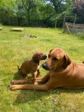IMG-20220514-WA0036