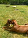 IMG-20220514-WA0037