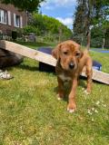 IMG-20220514-WA0039