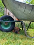 IMG-20220514-WA0042