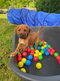 IMG-20220517-WA0001