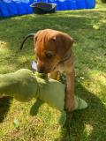 IMG-20220518-WA0008