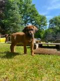 IMG-20220518-WA0010