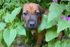 IMG-20220514-WA0030