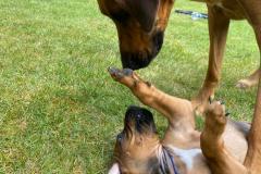 IMG-20220514-WA0033