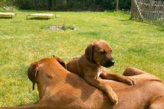 IMG-20220514-WA0035