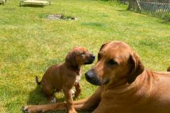 IMG-20220514-WA0036