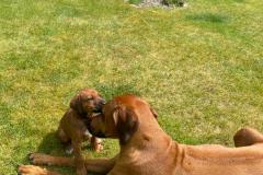 IMG-20220514-WA0037