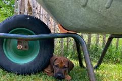 IMG-20220514-WA0042