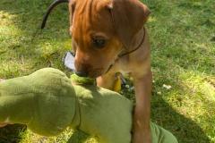 IMG-20220518-WA0008