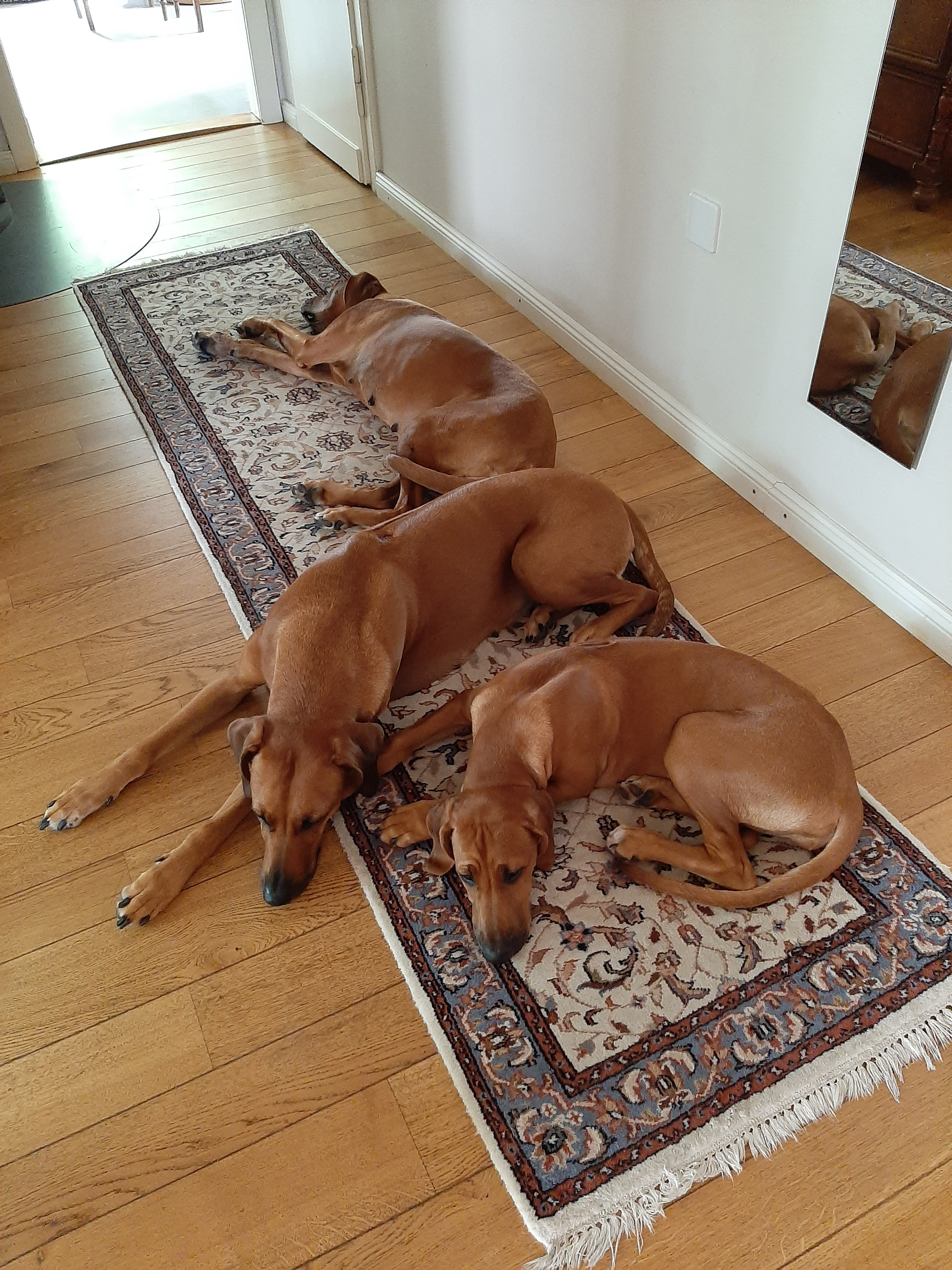 20220805_152700
