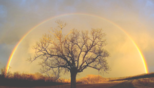 Regenbogenbrücke-II