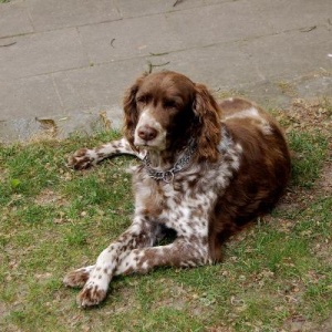 Peggy