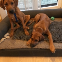IMG-20180318-WA0004