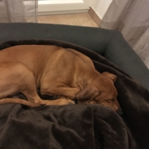IMG-20180318-WA0006