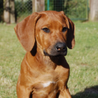 b7710509f0613123013