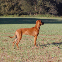 b7710509ff0132b7010