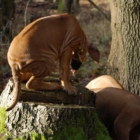 dsc_b0682_lbb