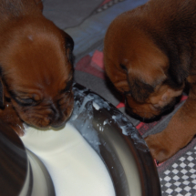DSC_0796 DSC_0796