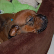 DSC_0934 DSC_0934