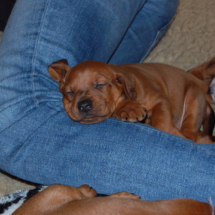 DSC_0957 DSC_0957