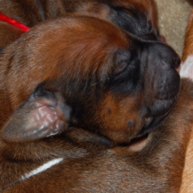 weiß. 3. Tag weiß. 3. Tag